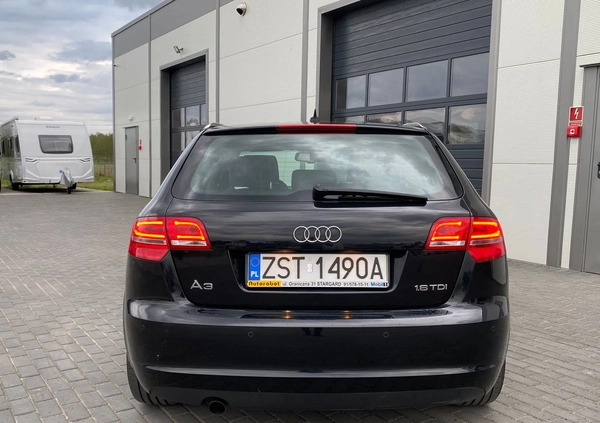 Audi A3 cena 31900 przebieg: 235000, rok produkcji 2009 z Lesko małe 254